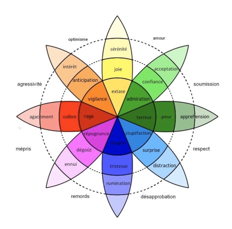 La rosace des émotions (32) – DEVCOA